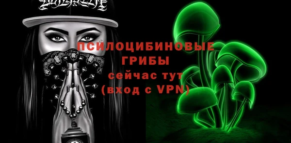 твердый Осинники
