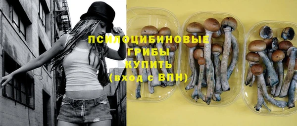 бошки Осташков