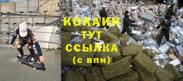 твердый Осинники