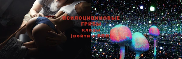 Альфа ПВП Вязники