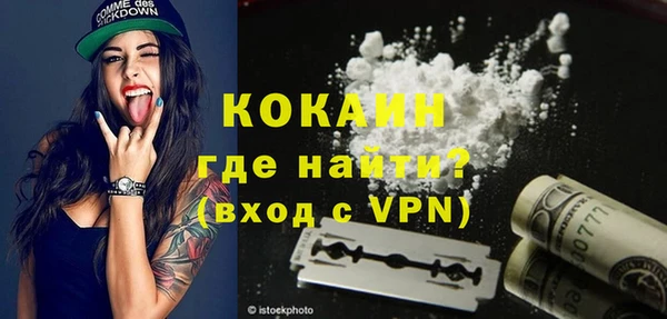 твердый Осинники