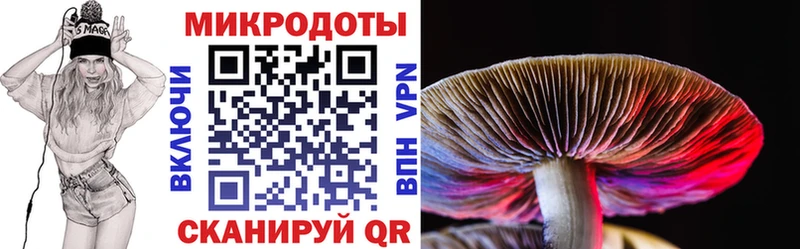 OMG ССЫЛКА  Чистополь  Галлюциногенные грибы мицелий 