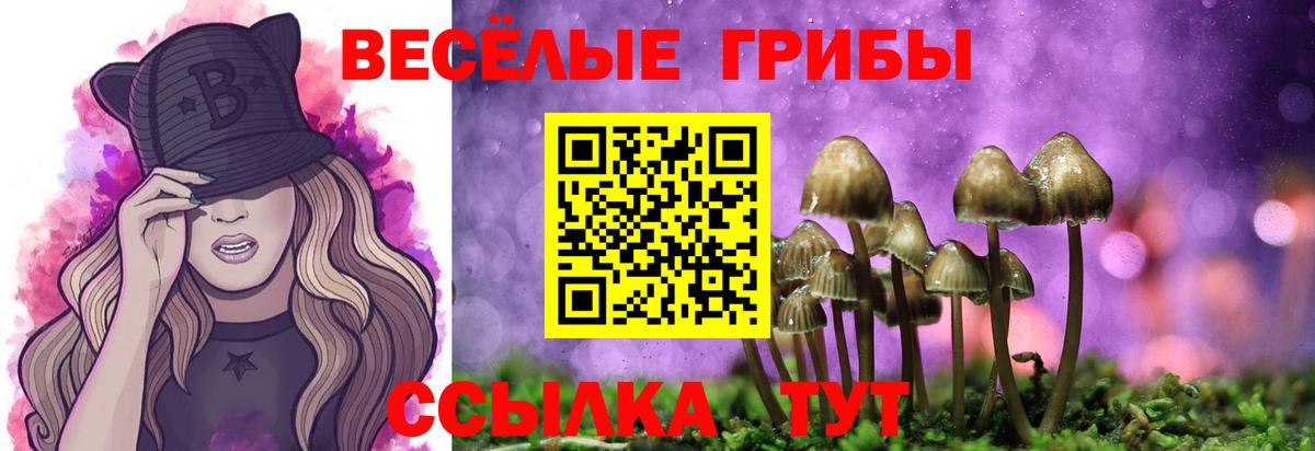 Галлюциногенные грибы GOLDEN TEACHER  Вход с VPN  Чистополь 