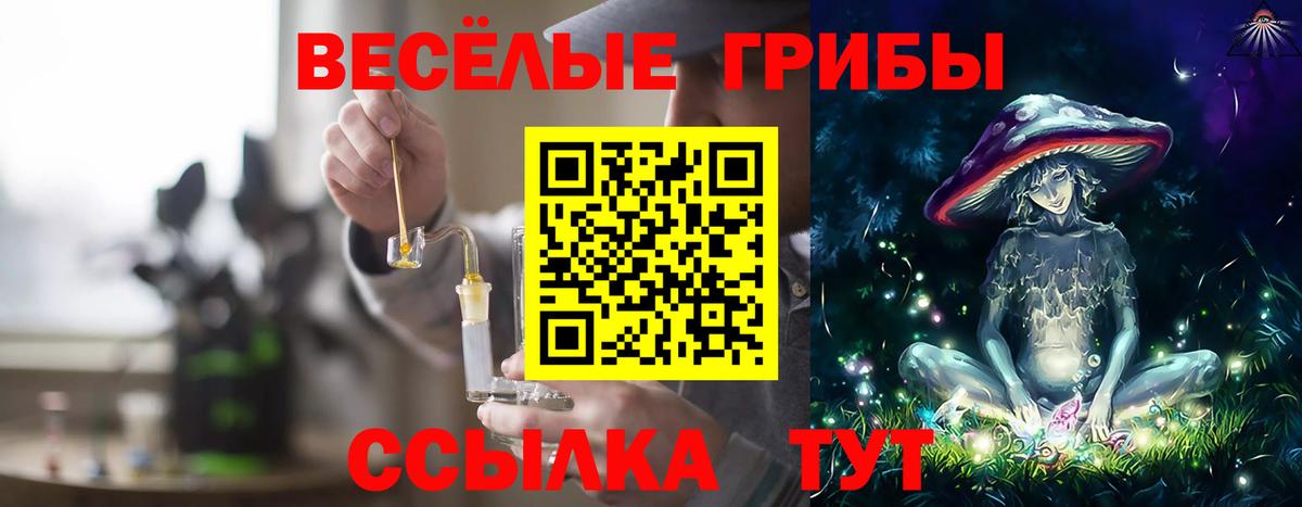 Галлюциногенные грибы Psilocybe Чистополь